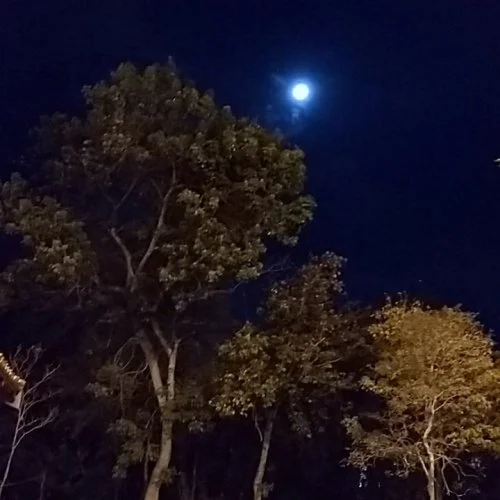 Fotografe Jaguariúna: registro mostra a beleza da lua no Parque Luiz Barbosa 