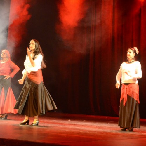 Noite dos Musicais 2020