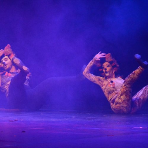 Noite dos Musicais 2020