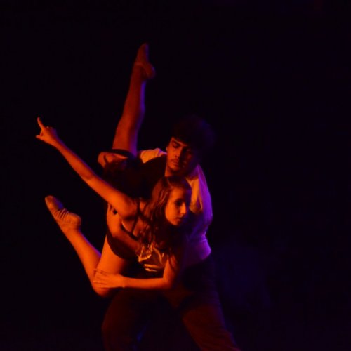 Noite dos Musicais 2020