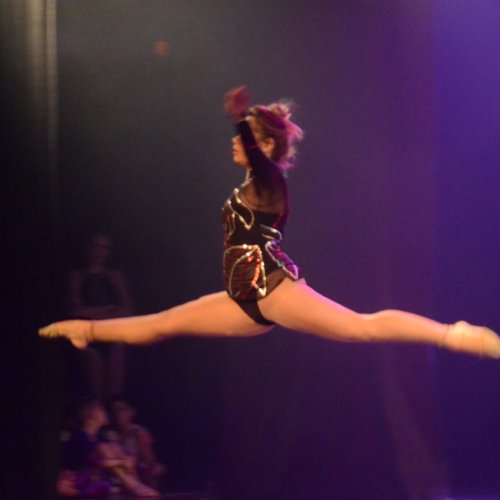 Noite dos Musicais 2020