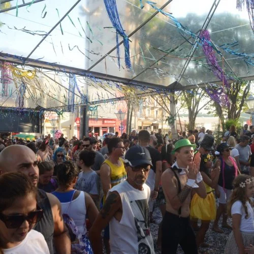 Folia 2020