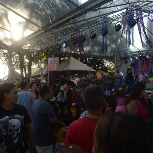Folia 2020