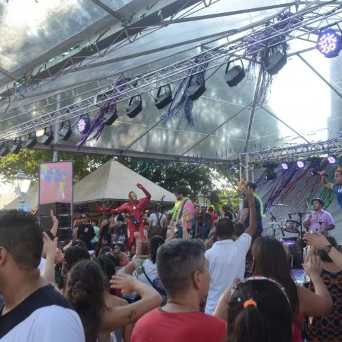 Folia 2020