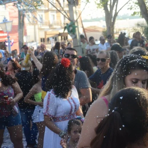 Folia 2020
