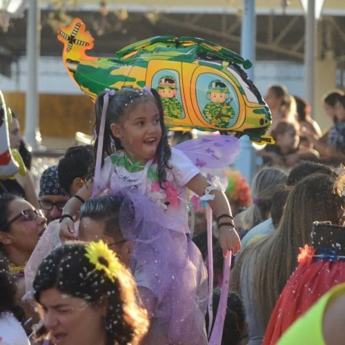 Folia 2020