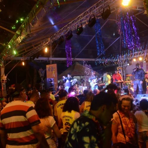 Folia 2020