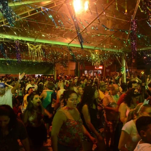 Folia 2020