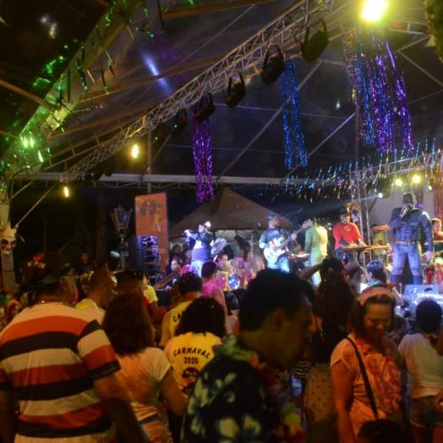 Folia 2020