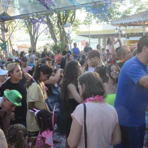 Folia 2020