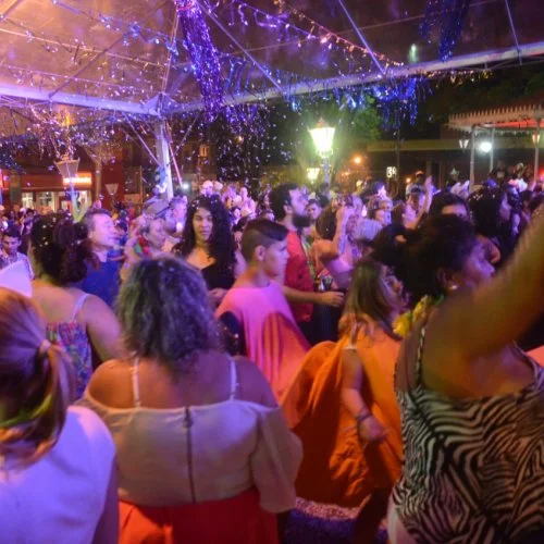 Folia 2020
