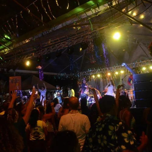 Folia 2020
