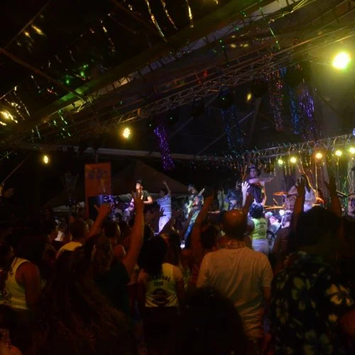 Folia 2020