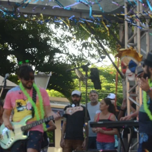 Folia 2020