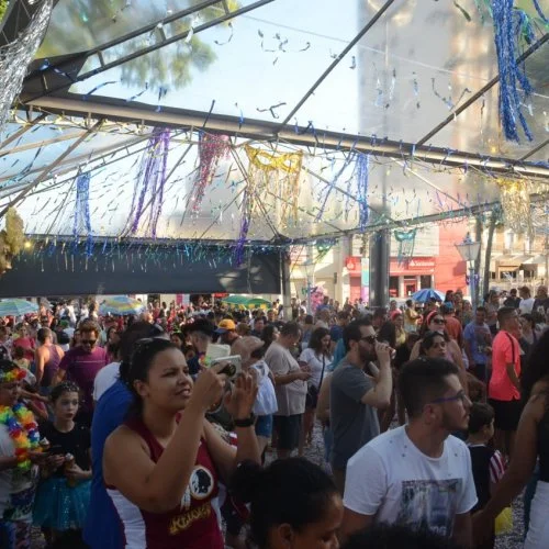 Folia 2020