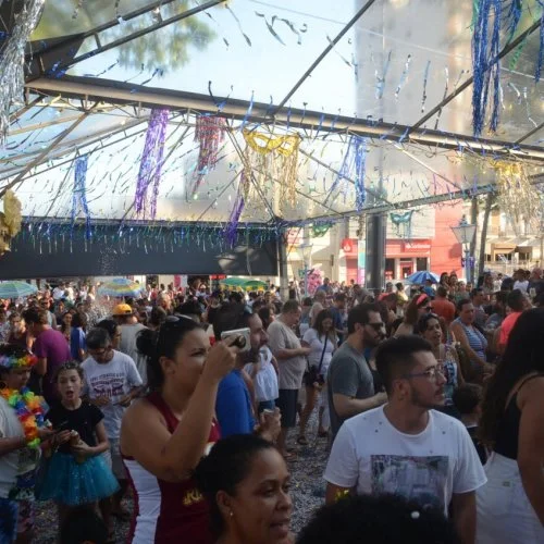 Folia 2020