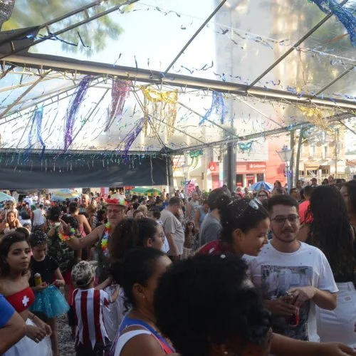 Folia 2020