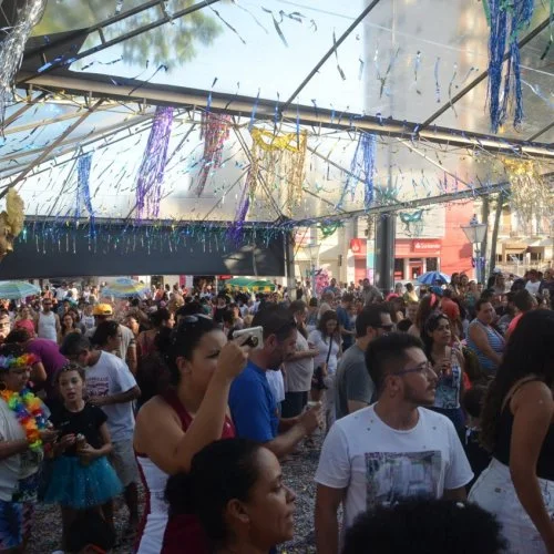 Folia 2020