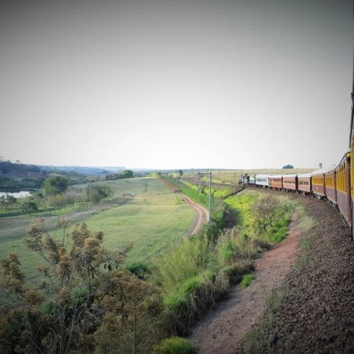 Fotografe Jaguariúna: uma viagem no tempo com as antigas locomotivas à vapor e à diesel 