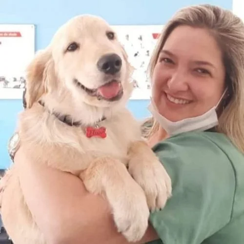 Férias: os cuidados com a saúde dos animais de estimação no momento de pegar a estrada 