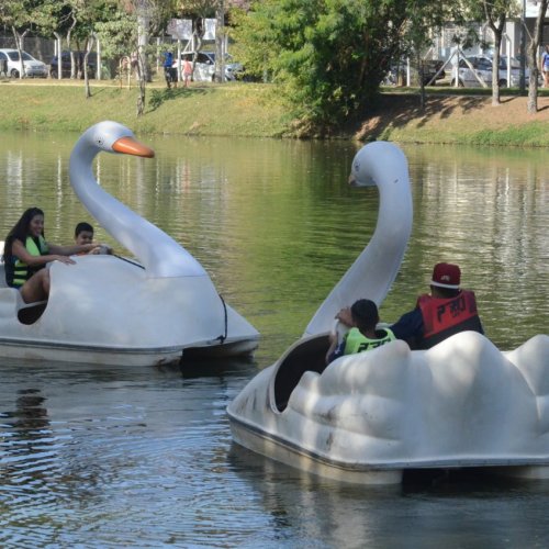 Festival de Férias