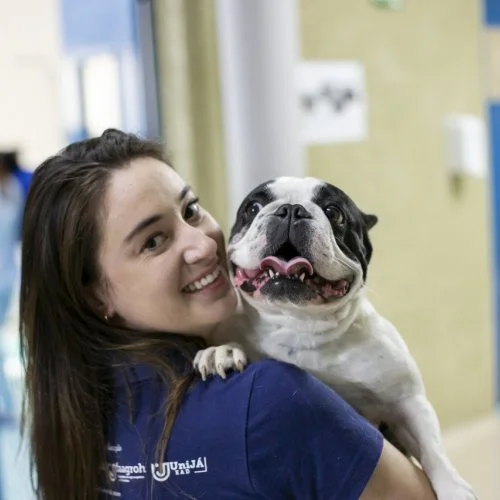 Estrela Pet: É importante o diagnóstico para o tratamento do diabetes em cães e gatos 