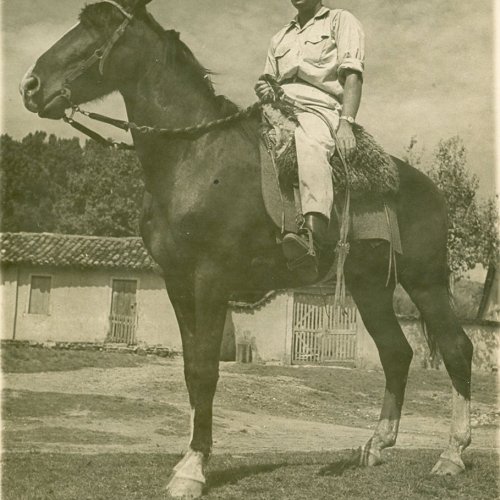 Tuta num momento em que mostrava a sua habilidade em montar cavalos (Acervo Casa da Memria Padre Gomes) 