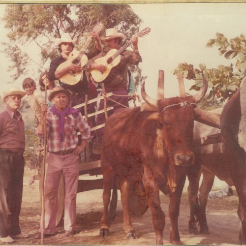 Carro de Boi de Ansio Pereira e Antonio Firmino, e os msicos, entre eles, Tonho Barbosa, durante a Cavalaria Antoniana (Acervo Casa da Memria Padre Gomes) 