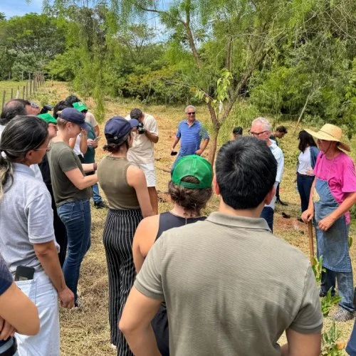 Programa Bacias Jaguariúna anuncia meta de plantio de 25 mil mudas de árvores neste ano