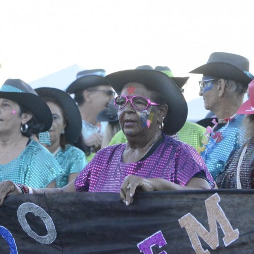 Pegada da On�a e Desfile de Blocos 