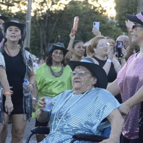 Pegada da On�a e Desfile de Blocos 