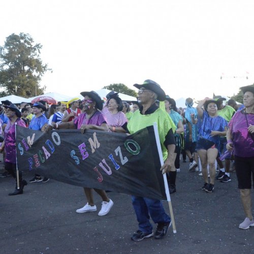 Pegada da On�a e Desfile de Blocos 