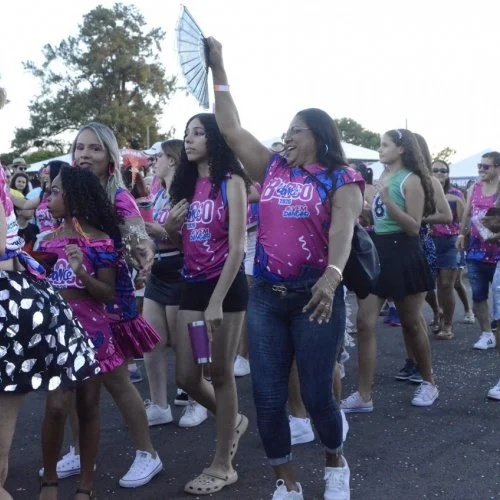 Pegada da Onça e Desfile de Blocos 