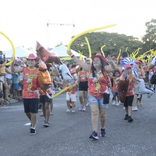 Pegada da Onça e Desfile de Blocos 