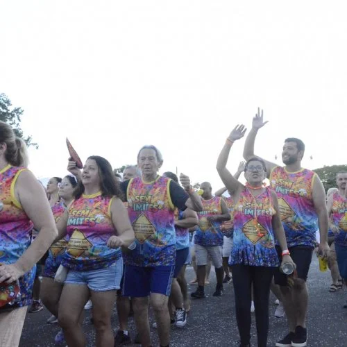 Pegada da Onça e Desfile de Blocos 