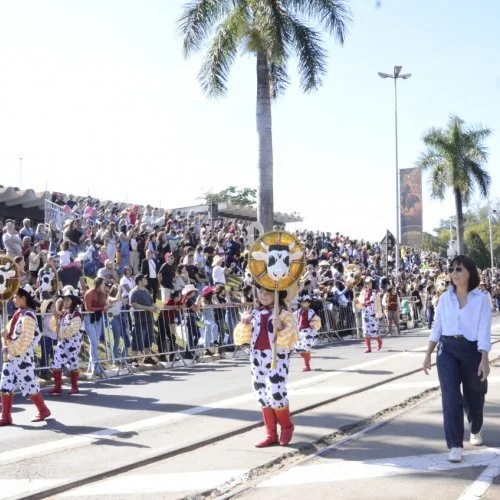 Alunos na Cavalaria Antoniana 