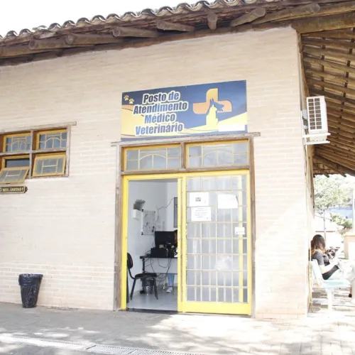 Departamento realiza mais de 5 mil procedimentos veterinários