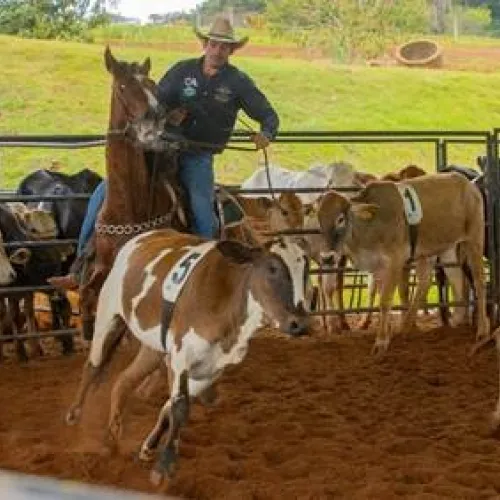 Mega Ranch Mangalarga integra programação do JRF
