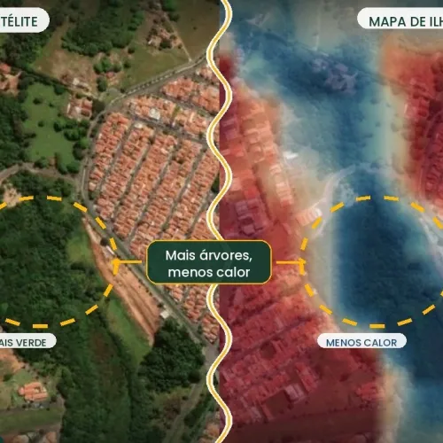 Jaguariúna divulga estudo sobre arborização no Dia da Árvore
