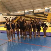 Copa de Ginástica 