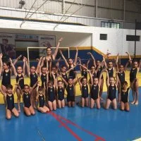 Copa de Gin?stica 