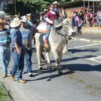 Cavalaria Antoniana 