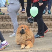 Caminhada Ecol?gica 2018 