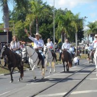 desfile cavalos 