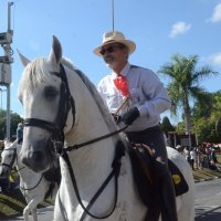 desfile cavalos 