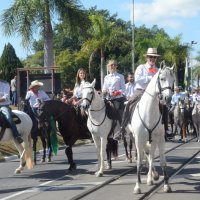 desfile cavalos 