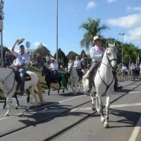 desfile cavalos 