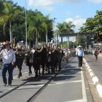 desfile cavalos 