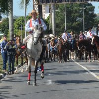 desfile cavalos 