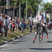 desfile cavalos 